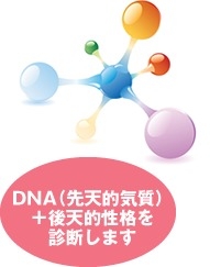 DNA気質診断システムのご紹介 DNA気質で自分がもっとわかる