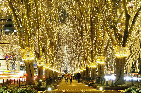 SENDAI光のページェント