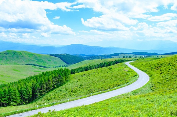 ビーナスライン